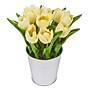 National Tree Company 9" Light Yellow Tulip Bouquet (MT81-30TU25PLYW)~#|#~5C681271-A61D-454E-887150285EB65E37_sc7