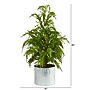Nearly Natural Cedar Pine Natural Look Artificial Tree in Decorative Planter, 20" (T1506)~#|#~5C6B106F-C87B-43BE-BF83130924BA7BFF_sc7