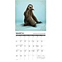 2026 Willow Creek Sloth Yoga 12" x 12" Monthly Wall Calendar (52839)~#|#~5C722E4E-48A5-4DAD-9754585F71D1C6B9_sc7