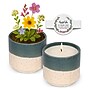 The Growing Candle Willow Mint & Eucalyptus Scent Soy Ceramic Jar Candle, 8.5 oz. (HLC-WIL-EUC)~#|#~5C88814C-977D-45DC-B8408EA1A9377651_sc7