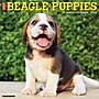 2027 Willow Creek Beagle Puppies 12" x 12" Monthly Wall Calendar, Assorted Colors (59081)~#|#~5C96F54E-D12C-4CFC-B599E2B726396BC9_sc7