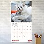 2027 TF Publishing Kittens 12" x 12" Monthly Wall Calendar (27-1013)~#|#~5C9B39EE-8F7D-4BE4-A4A8BD6945DB38DA_sc7