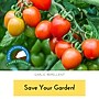 Just Scentsational by Bare Ground Garlic Scentry Repellent for Multiple Pests, Garlic Scent, 32 oz. (GAR-32TR)~#|#~5C9CD199-FBE0-4B8F-94204EF9E52B6364_sc7