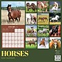 2026 TF Publishing Horses 12" x 12" Monthly Wall Calendar (26-1012)~#|#~5CB4EA0F-09FC-4DEA-B86862E4CD713FB0_sc7