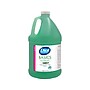 Dial Professional Basics Foaming Hand Soap Refill, 1 Gal. (17000354385)~#|#~5CBBB736-BB37-4F3E-877ED7A5236DFEC4_sc7