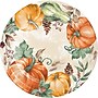 Say Hooray! Harvest Delight Paper Plates and Napkins Kit, Multicolored, 48/Pack (DTC9388E2G)~#|#~5CD4D21A-F9A3-4637-AD47E70185352FD8_sc7