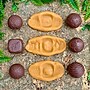 Yellow Door Roll Around Wild Animals, Assorted Colors, 6/Set (YUS1239)~#|#~5CDFB82B-713E-44E2-8FC3D6150FA591FD_sc7