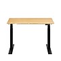 FlexiSpot E7 Commercial 48''W Electric Adjustable Standing Desk, Bamboo/Black (E7BCOM4824-LBZB)~#|#~5D02BA2E-9B10-4091-AF9DA6998C595374_sc7