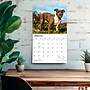 2027 BrownTrout For the Love of American Pit Bull Terriers 14" x 12" Monthly Wall Calendar, Assorted Colors (9798330714759)~#|#~5D037ABB-174C-4ED5-A4793C92AC233EBE_sc7