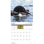 2027 Willow Creek Life in the Northwoods  12" x 12" Monthly Wall Calendar (61022)~#|#~5D11DE81-C833-45B2-A2611F39279951A2_sc7