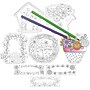 Barker Creek Color Me! Garden & City Double Sided Accent 2-Pack (2 designs), 72 Pieces/Set (BC3720)~#|#~5D187C46-2A83-4ACF-BD605DA4F7F27B5F_sc7