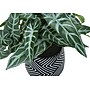 Monarch Specialties Inc. 8" Artificial Alocasia Plant in Pot, 2/Set (I 9559)~#|#~5D2F952D-0900-41E0-9516B39B8ED79C80_sc7