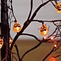 Nearly Natural Pre-Lit Artificial Halloween Black Twig Tree, 3' (T5360)~#|#~5D311EA6-1986-4628-95EACDABA6CF3681_sc7