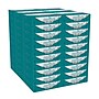 Angel Soft Professional Series Standard Facial Tissue, 2-Ply, 50 Sheets/Box, 60/Carton (48550)~#|#~5D36A281-944B-40F3-B23EBDB99177E443_sc7