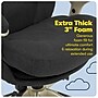 Serta Works Ergonomic Fabric Swivel Executive Chair with Back in Motion Technology, Dark Gray (44186E)~#|#~5D3D943A-7B57-4972-B325C5FE48675686_sc7