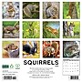 2026 Willow Creek Squirrels 12" x 12" Monthly Wall Calendar (52891)~#|#~5D474985-70EF-4B37-9706EACEB5BA230E_sc7