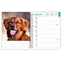 2026 BrownTrout Golden Retrievers 6.5" x 7.75" Weekly Planner (9798330703470)~#|#~5D5B2FF1-01F9-4266-ADD29B91E9205226_sc7