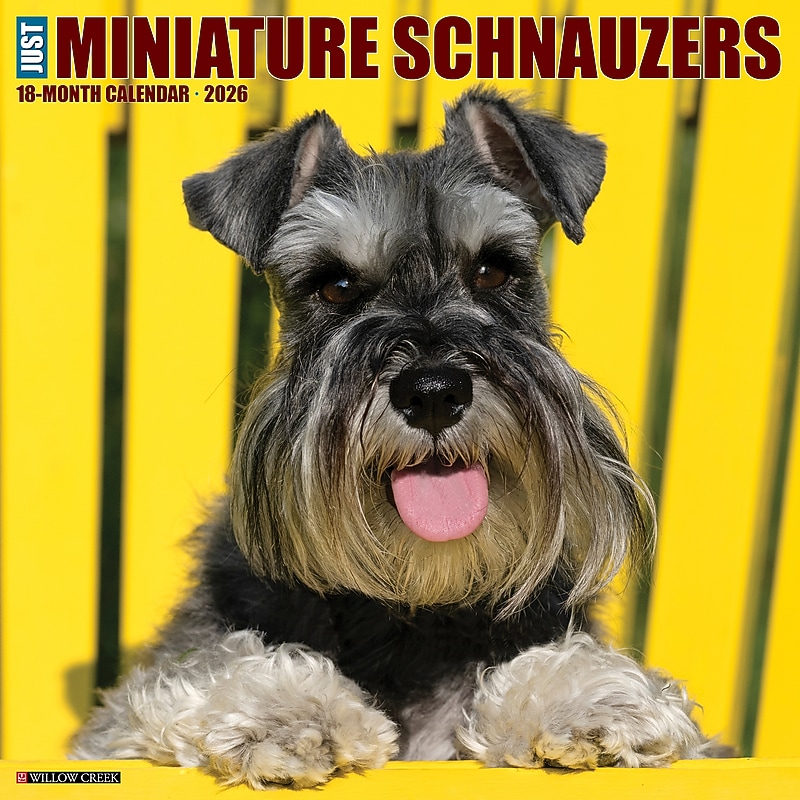 2026 Willow Creek Miniature Schnauzers 12" x 12" Monthly Wall Calendar (55502) image 1