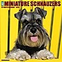 2026 Willow Creek Miniature Schnauzers 12" x 12" Monthly Wall Calendar (55502)~#|#~5D711AD5-A6E9-43F6-B9AC9C36BE87405A_sc7