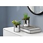 Monarch Specialties Inc. 7" Artificial Succulent Plant in Pot, 2/Set (I 9550)~#|#~5D8ED8EE-1235-485A-9D1B0AC94829780A_sc7