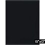 12" x 15" Reclosable Poly Bag, 2 Mil, Black, 1000/Carton (PB3670BK)~#|#~5D9176B7-A73B-4618-BAB7290316D81C05_sc7