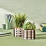 Lifelines FlowCrafts: Cord-Wrapped Planters (167005)~#|#~5D9A3A7C-8F6A-4810-B5060F939A646180_sc7