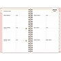 2025 Blue Sky Day Designer 5" x 8" Weekly & Monthly Planner, Plastic Cover, Blush (148147)~#|#~5DA62BEF-AE2B-4E09-8242868F5C7FB08D_sc7