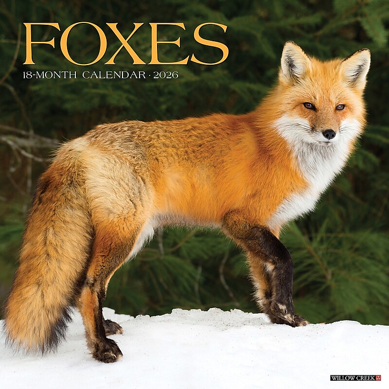 2026 Willow Creek Foxes 12" x 12" Monthly Wall Calendar (51146) image 1