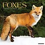2026 Willow Creek Foxes 12" x 12" Monthly Wall Calendar (51146)~#|#~5DA858CE-77BA-42F3-AC91161F1799BC80_sc7