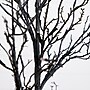 Nearly Natural 4' Pre-Lit Halloween Deluxe Black Twig Artificial Fall Tree with 81 Orange and Purple LED Lights (T4757)~#|#~93613B30-36A5-442A-B5D506C6AE0B04A4_sc7