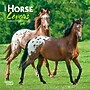 2027 BrownTrout Horse Lovers 7" x 7" Monthly Wall Calendar (9798330709823)~#|#~5DC74759-D03D-4725-9B1544536FD7BC7E_sc7
