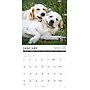 2027 Willow Creek Golden Rules 12" x 12" Monthly Wall Calendar (60445)~#|#~5DE053E3-383B-47CD-9F377DA7BBD342CE_sc7