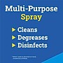 Formula 409 Disinfecting Cleaner Degreaser Spray, 32 oz. (35306)~#|#~5E006C97-0BE3-452F-BCAE32EC2FE532E7_sc7