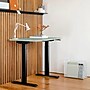 Branch Duo 48"W Electric Adjustable Standing Desk, Sage/Black (10-10-05-88)~#|#~5E080664-709E-4D04-9DA142069715C7EB_sc7