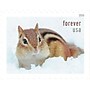 USPS Squirrels & Chipmunks in Snow Forever 20 Postage Stamps (FOR-SQUIRREL-20)~#|#~5E0C0F92-E472-4A1A-B19264FD1443D731_sc7