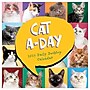 2027 TF Publishing Cat A Day 5.25" x 5.25" Daily Day-to-Day Calendar, Multicolored (27-3002)~#|#~5E10B427-30EE-413E-8C3E6C58E11BDEE5_sc7