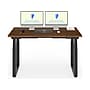 FlexiSpot E7Q 60"W Electric Adjustable Standing Desk, Black Walnut/Black (E7QB6030-BW)~#|#~5E12A6C9-8378-4AFF-81D19A7B89A2F0AA_sc7