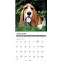 2027 Willow Creek Basset Hounds 12" x 12" Monthly Wall Calendar, Assorted Colors (59043)~#|#~5E2FE0EA-49F4-4D1F-8F3CED33EB17AA47_sc7