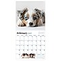 2027 TF Publishing Puppies 11" x 11" Monthly Wall Calendar, Multicolored (27-1025)~#|#~5E4F9BFF-EDC1-4278-8C8D529137BCBF01_sc7