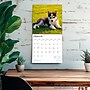 2026 BrownTrout Siberian Husky Puppies 12" x 12" Monthly Wall Calendar (9798330705603)~#|#~5E514A20-0385-44CA-93B2A58A30FC656E_sc7