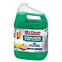 Mr. Clean Professional Degreasing Floor Cleaning Liquid, 1 Gallon (19858)~#|#~5E7A0204-48D6-4E3A-904654FF139CB332_sc7