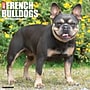 2027 Willow Creek French Bulldogs 12" x 12" Monthly Wall Calendar, Assorted Colors (60308)~#|#~5E8A1580-036F-40C0-920E2337A6E4201A_sc7