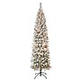 National Tree Company Acacia Artificial Christmas Tree (AC100-304-75F)~#|#~5E8BD746-5FA5-4EE8-B800D855E6DD8108_sc7