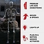 Haunted Hill Farm 8' Tall Motion-Activated Towering Skeleton (HHTWRSKEL-2FLSA)~#|#~5E99A696-1D5A-4581-A5D6A445C5303540_sc7