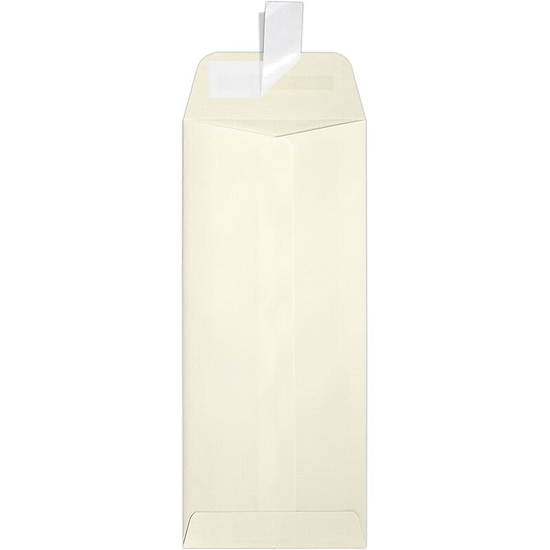 JAM Paper Self Seal Policy Envelope 4 1/8" x 9 1/2", Natural Linen, 50/Pack (7716-NLI-50) image 1