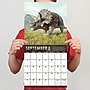 2026 TF Publishing 12" x 17" TF Publishing 12" x 12" Dinosaurs Wall Calendar 26-1139~#|#~5EAE75F3-1979-412E-866BBE00C55A58EB_sc7