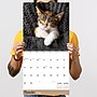 2026 TF Publishing Cat Dreams 12" x 12" Monthly Wall Calendar, Multi (26-1003)~#|#~5EB07987-C0D3-470D-B183E6DE7CA2163F_sc7