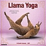 2027 Willow Creek Llama Yoga 12" x 12" Monthly Wall Calendar, Assorted Colors (61084)~#|#~5EB40832-0BEC-4AB9-A1E1AF8311A3A5A9_sc7