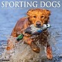 2027 Willow Creek Sporting Dogs 2" x 12" Monthly Wall Calendar, Assorted Colors (62463)~#|#~5EE8A630-586E-41A7-9907850A316FB75F_sc7