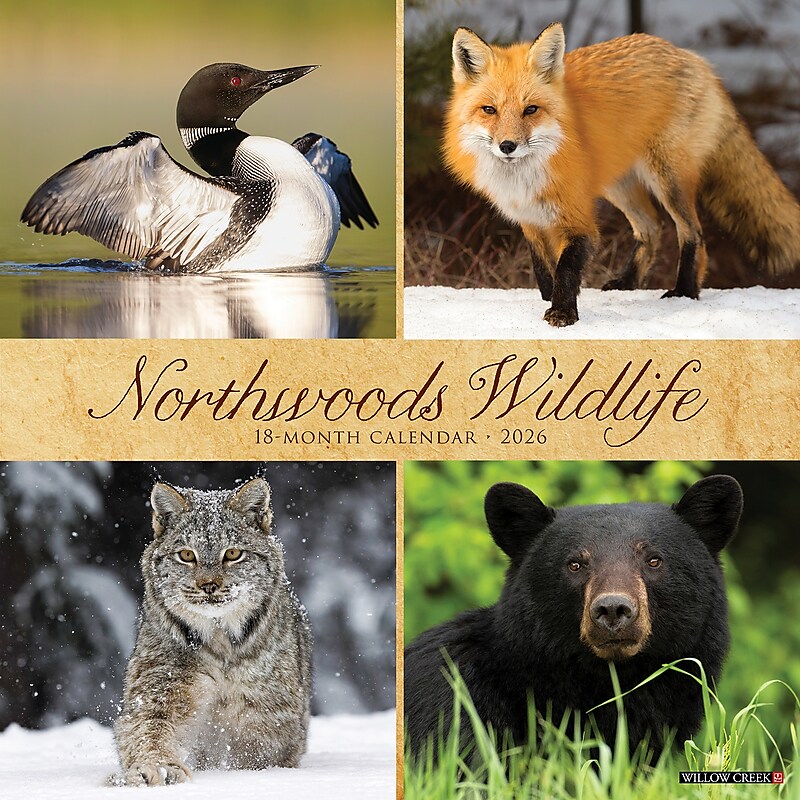 2026 Willow Creek Northwoods Wildlife 12" x 12" Monthly Wall Calendar (52204) image 1